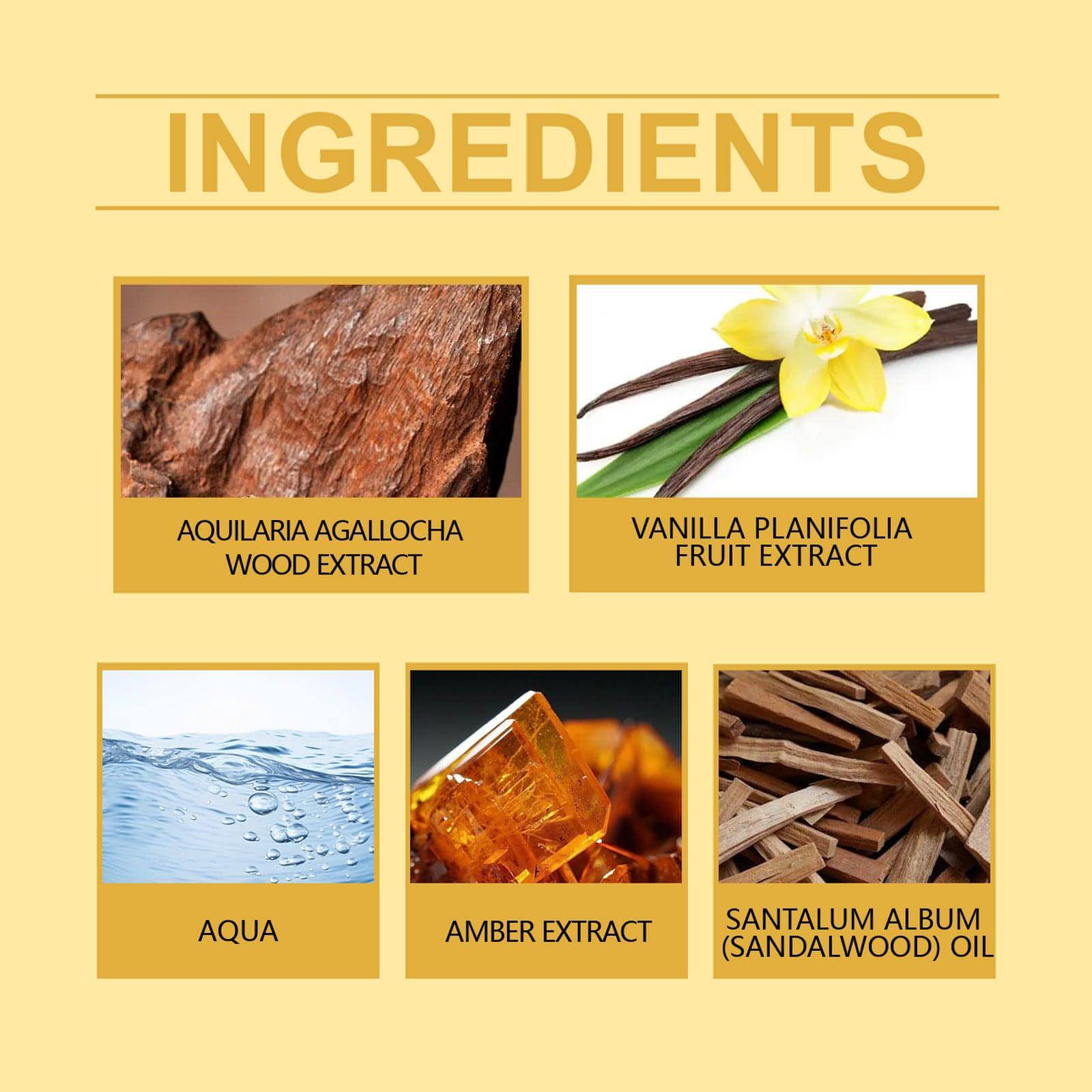 Roxelis™ Men’s Luxury Collection – 4 Scents of Power. One Signature