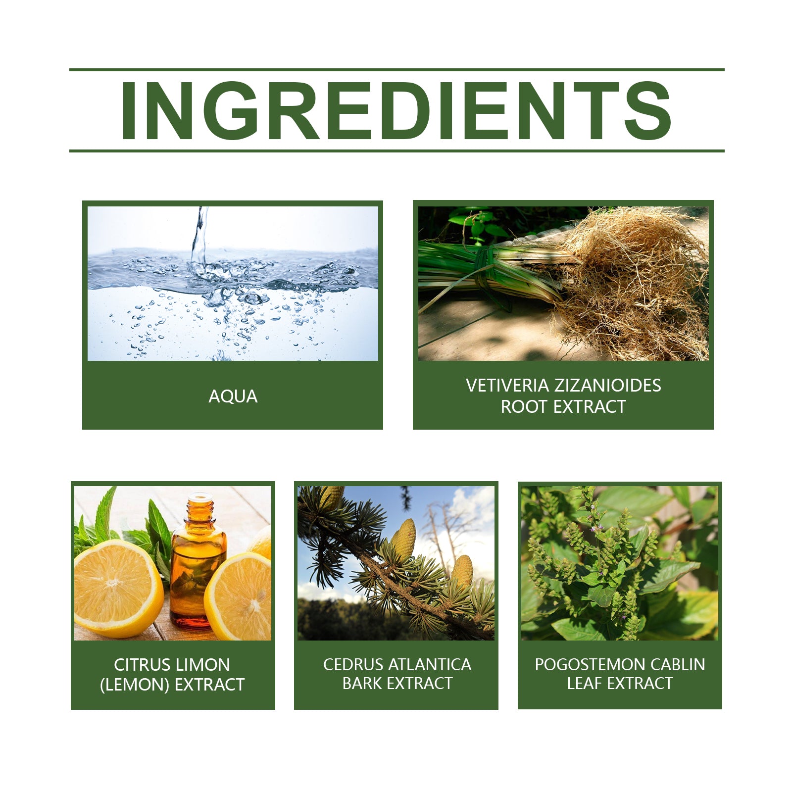 Roxelis Vetiver Fresh Perfume Exudes Charm Natural Fresh Elegant Fragrance Stay Fragrance Everyday Portable Fragrance Perfume