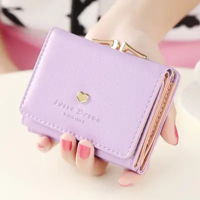 Multi-Function Wallet with Buckle Change Bit Card Holder
